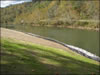 My Gallery: Image